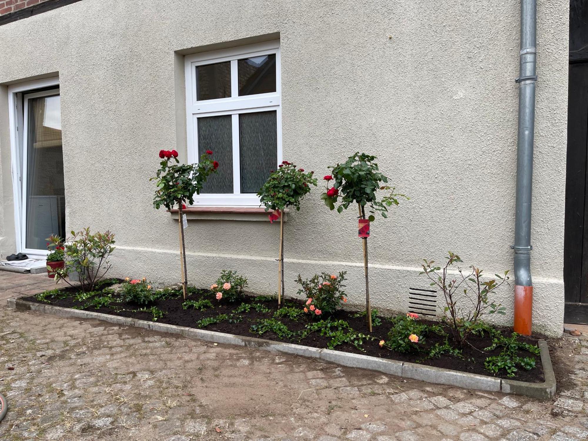 Hofquartier Schwerin Apartment Schwerin  Luaran gambar